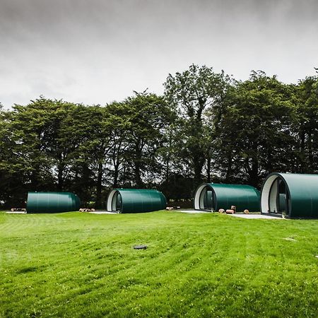 Further Space At Thornfield Luxury Glamping Pods, The Dark Hedges, Ballycastle 밸리머니 외부 사진