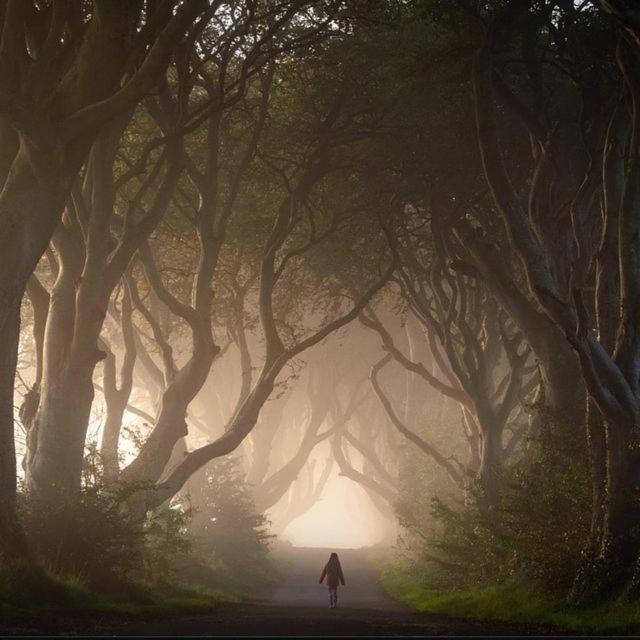 Further Space At Thornfield Luxury Glamping Pods, The Dark Hedges, Ballycastle 밸리머니 외부 사진